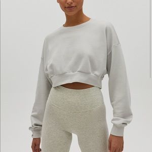 Aritzia Tna palisades light sweatshirt